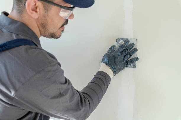 Best Drywall Repair  in Polson, MT